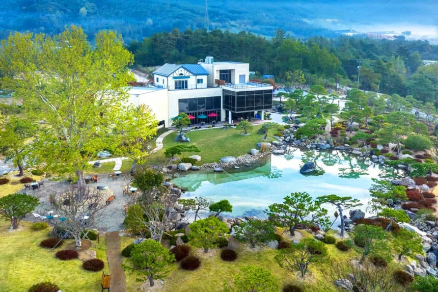 특색 있고 아름다운 민간 정원 30선 추천 여행 - 15. 구례 반야원 & 플라타너스