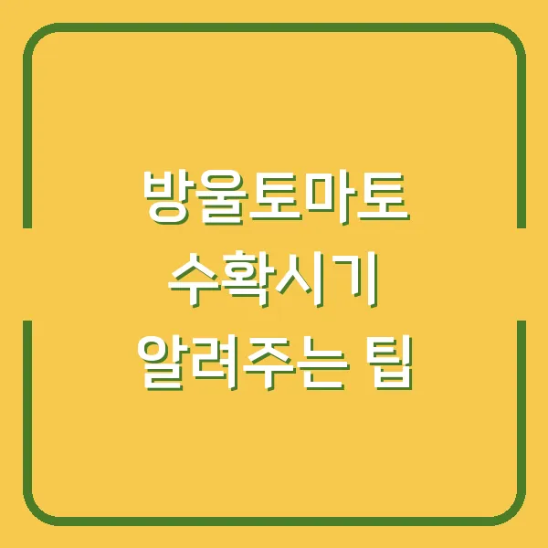 방울토마토 수확시기 알려주는 팁