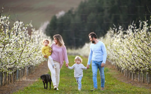 부모도 즐기는 명소