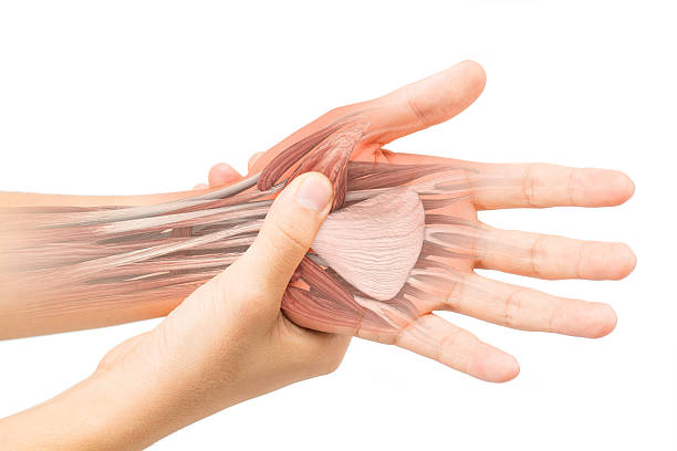 손목터널 증후군 증상 치료법 수술 완화법 후 관리 내시경 보호대 손목 원인 마우스 예방 검사 병원 주사 진단 운동 수근관 찜질 자가진단법 증