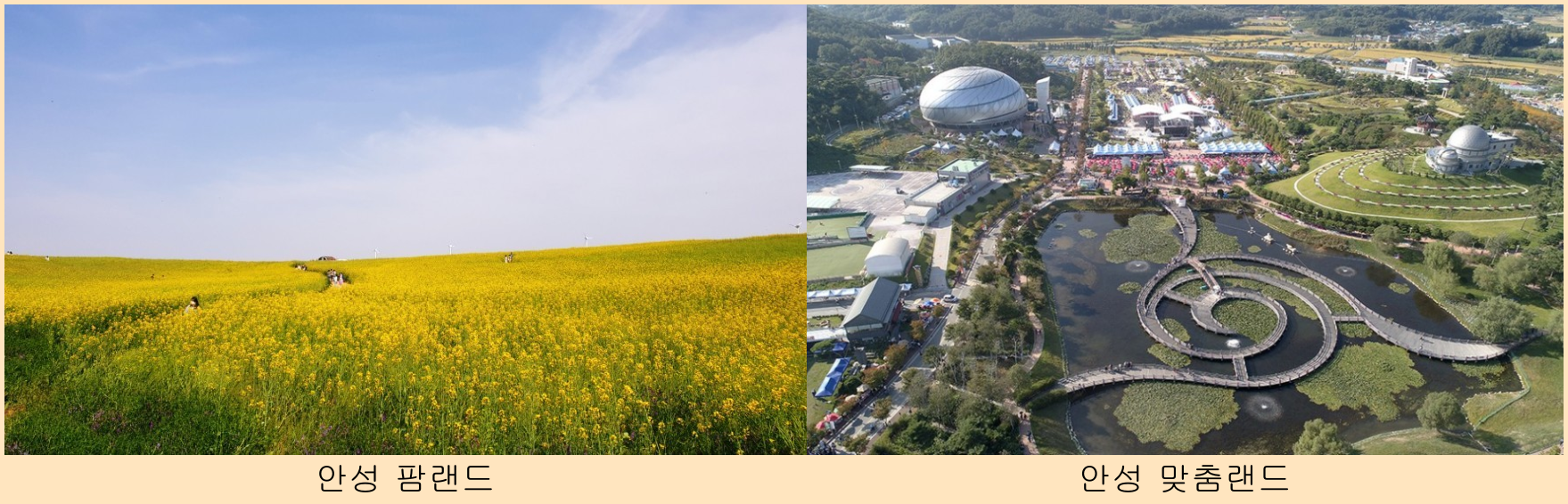 팜랜드-맞춤랜드