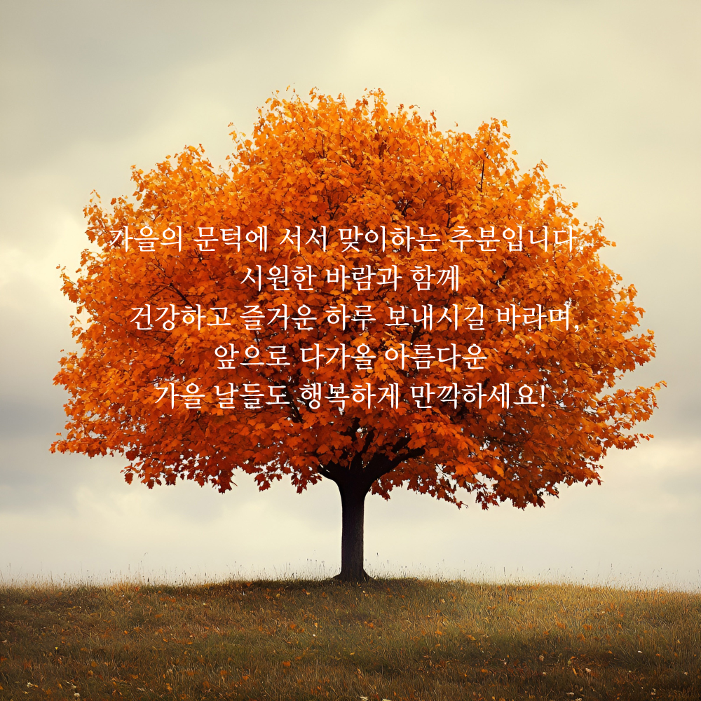 가을 인사말 추분 이미지 문구 모음집