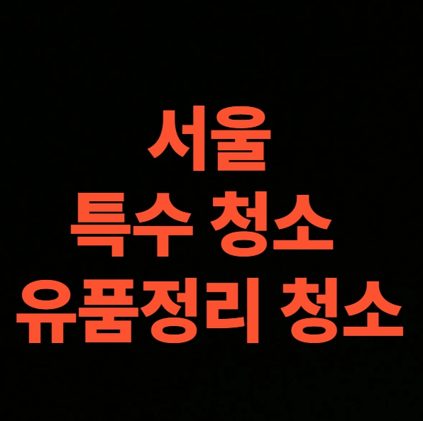 서울 종로구 유품정리 업체 비용 후기 고독사 특수청소