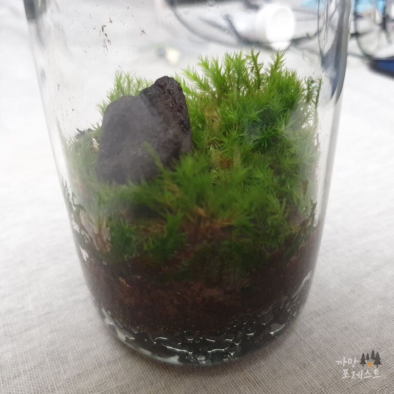 테라리움 완성