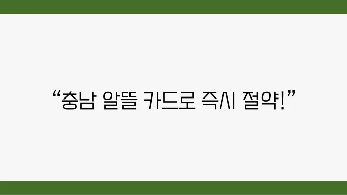 충남형 알뜰 교통카드