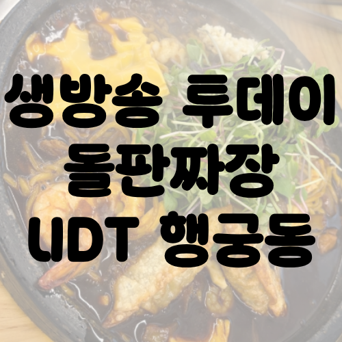 생방송 투데이 행궁동 돌판짜장 UDT
