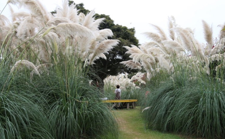 태안 청산수목원