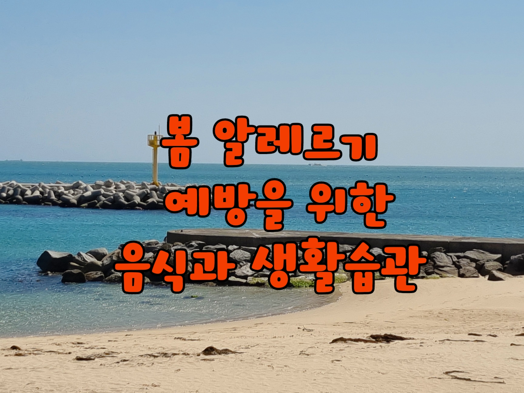 봄 알레르기 예방을 위한 음식