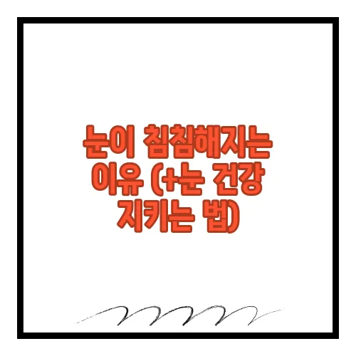눈이 침침해지는 이유 (+눈 건강 지키는 법)