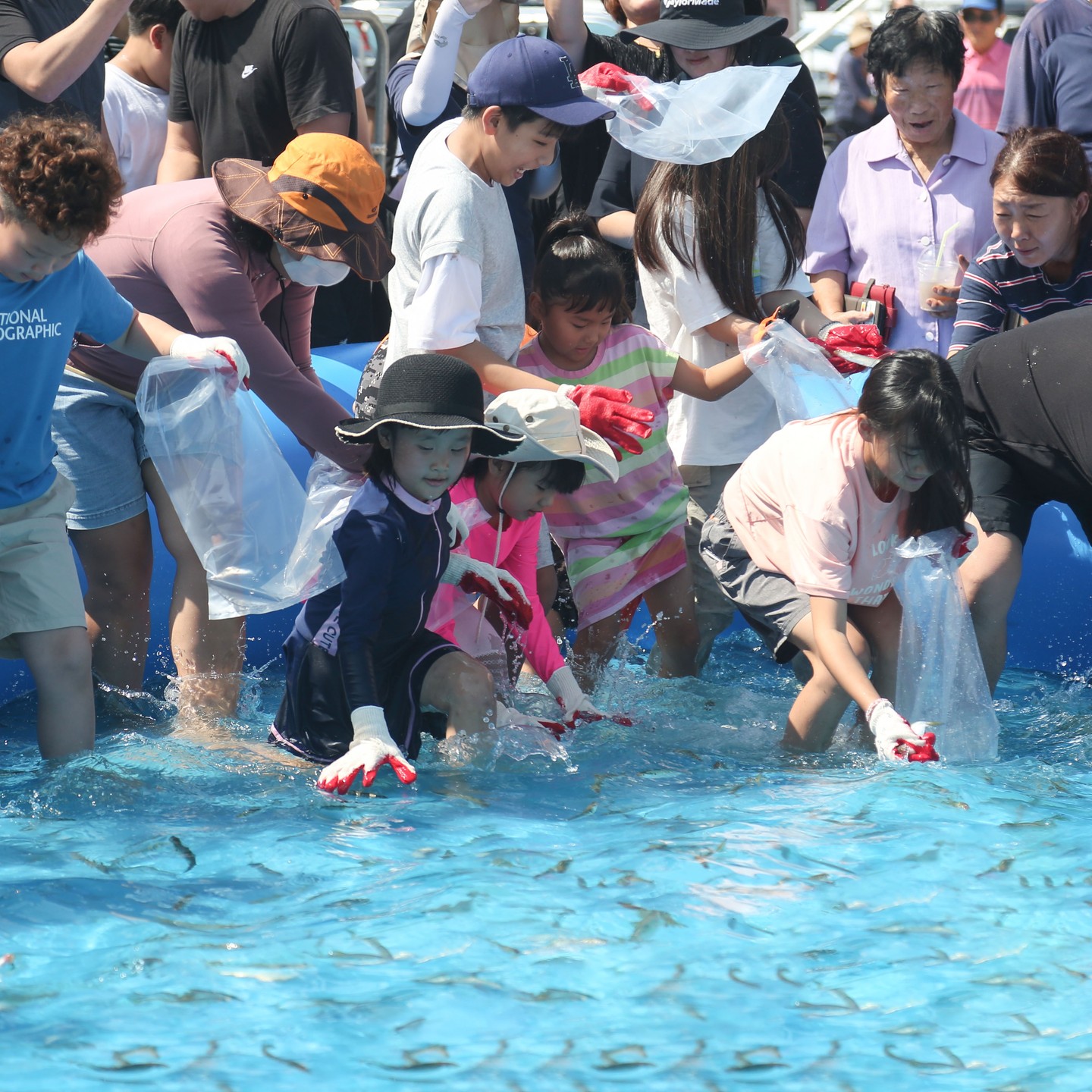 서천 홍원항 전어 꽃게 축제