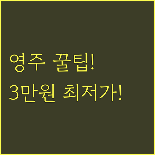 영주 힐링 여행 숙소 추천 3만원대 ..