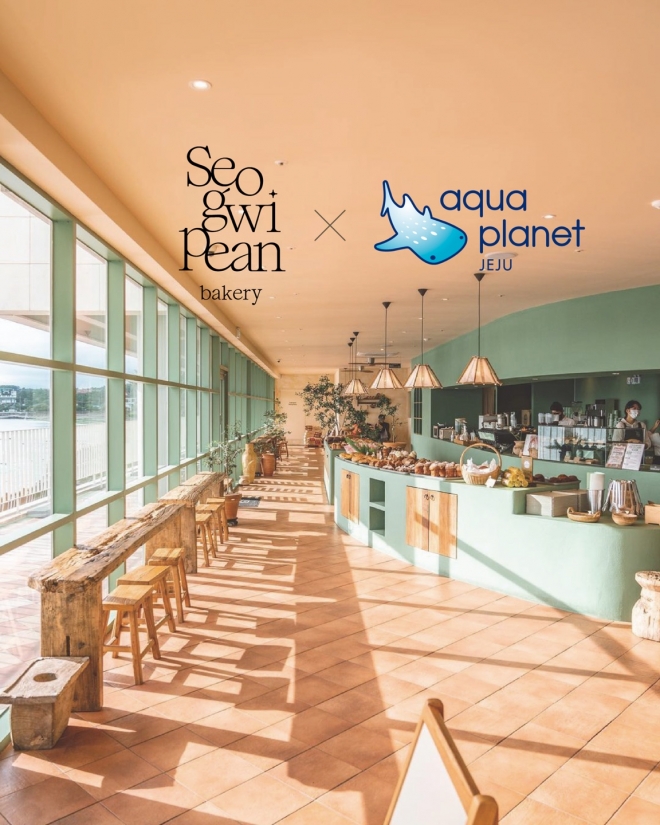 제주 성산 섭지코지 아쿠아플라넷 서귀피안 베이커리 카페