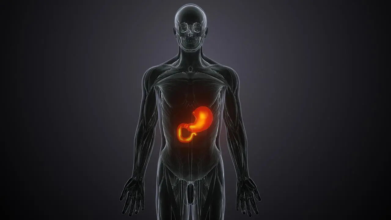 오른쪽 복부 통증의 원인, 급성담낭염 증상, 원인, 치료까지 정리