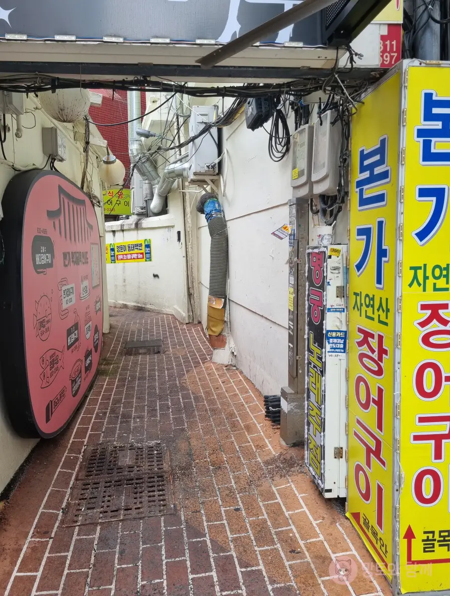가는-길2