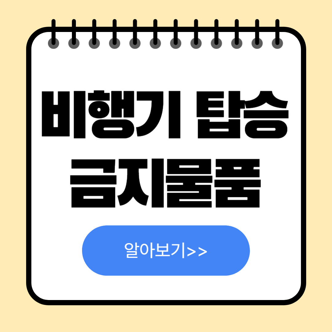 비행기 탑승 시 금지 물품 리스트 검색방법 총정리