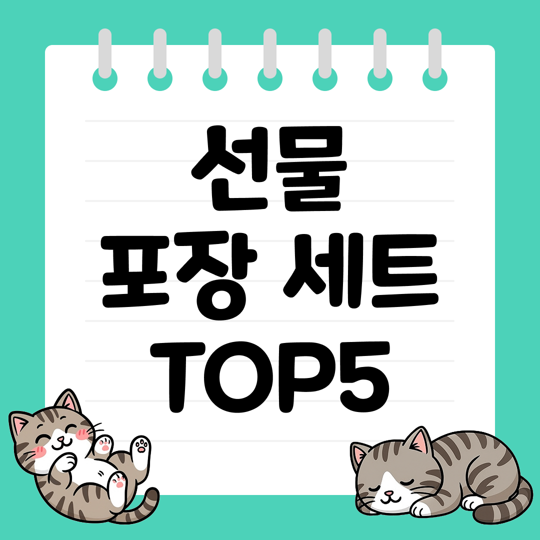2025년 10월 1주차 선물 포장 세트 추천 순위 TOP5