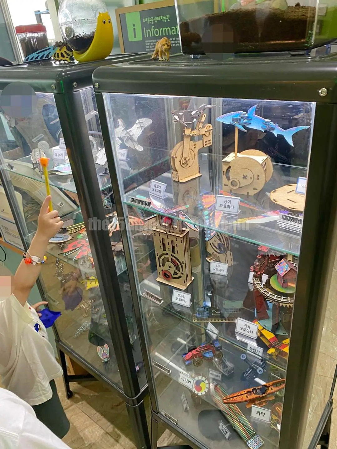 경남 의령 &amp;#39;의령 곤충생태학습관&amp;#39; (1층&amp;#44; &amp;#39;곤충 세계관&amp;#39;)