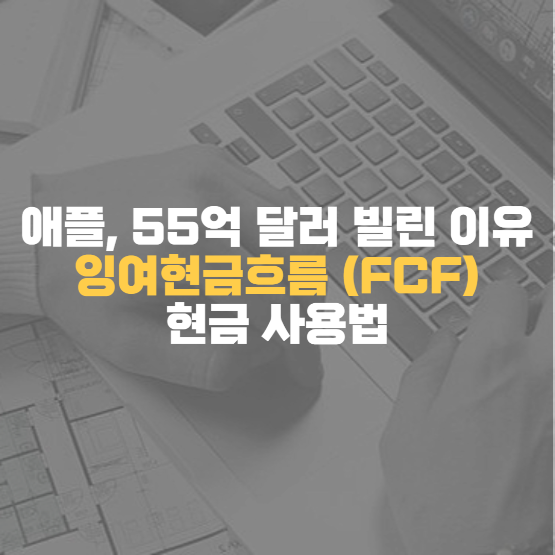 애플&#44; 55억 달러 빌린 이유 잉여현금흐름 (FCF) 현금 사용법
