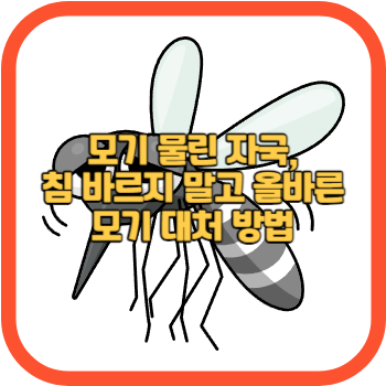 모기 물린 자국, 침 바르지 말고 올바른 모기 대처 방법