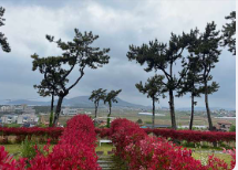 완도 해양치유센터 요금 및 예약방법 펜션 추천