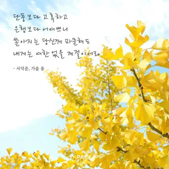 가을 시 모음 5편 추천 선별_9