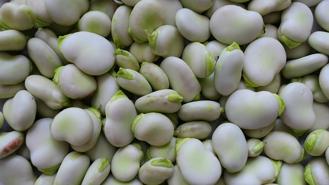 농어민수당 농외소득 어디까지?