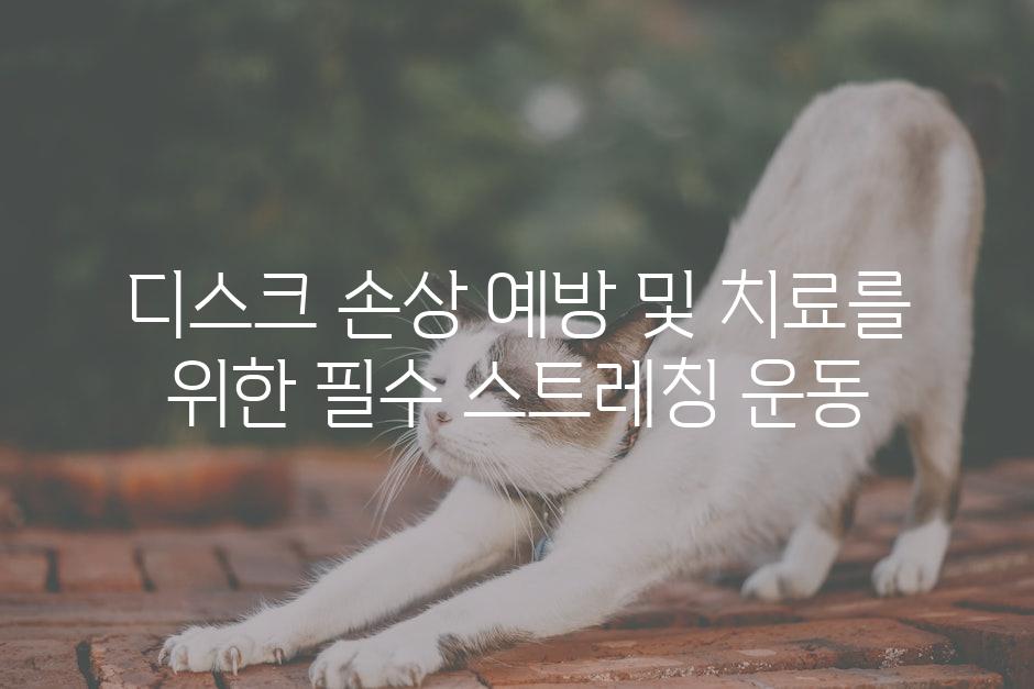 디스크 손상 예방 및 치료를 위한 필수 스트레칭 운동