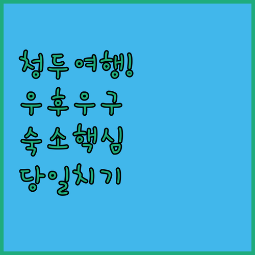 중국 청두 자유여행 우후우구 숙소 위..