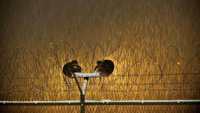 경기도 봄 여행지 추천 10곳 완벽 코스 가이드북_1