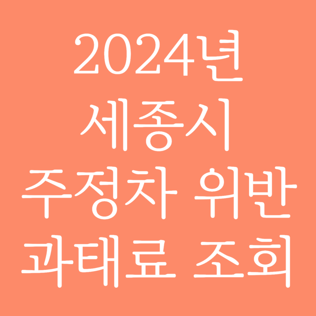 2024년 세종시 주정차 위반 과태료 조회하기