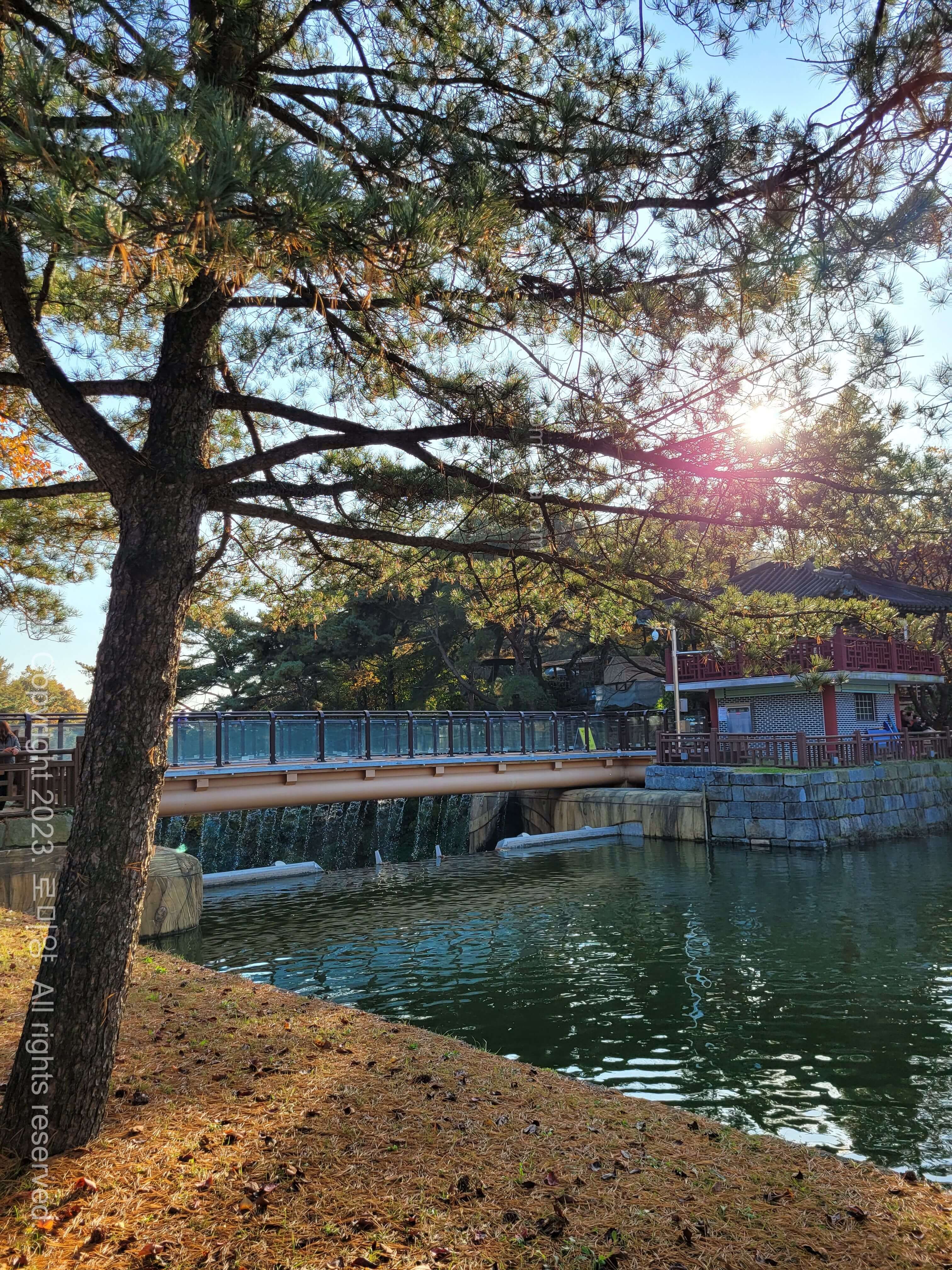 제천 가볼만한 곳 의림지