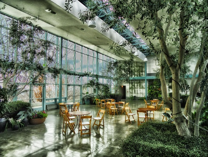 산림복지서비스이용권