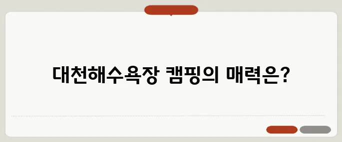 제대로 즐기는 캠핑, 대천해수욕장에서의 완벽한 하루