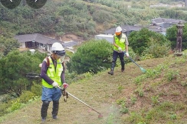 2025년 설날 벌초 업체 서비스