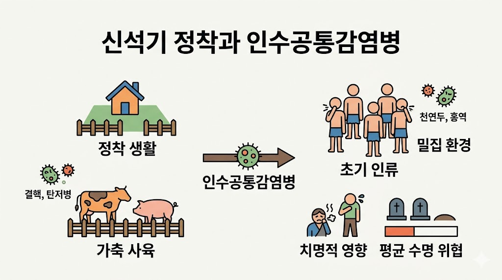 신석기 시대의 정착 생활과 가축 사육이 인수공통감염병으로 이어지는 과정을 나타낸 플랫 디자인 이미지입니다. 가축으로부터 전파되는 결핵과 탄저병, 밀집된 주거 환경에서 확산되는 천연두와 홍역을 아이콘으로 묘사하여 이러한 질병들이 초기 인류의 평균 수명을 위협하게 된 역설적인 상황을 단순하고 명료하게 시각화했습니다.