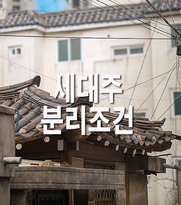 세대주-분리조건