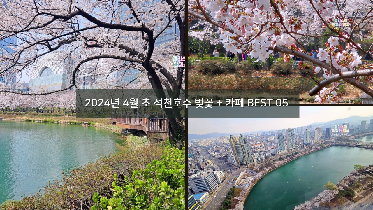 2024년 4월 초 석천호수 벚꽃 상황 + 주변 송리단길 카페 추천 BEST 05