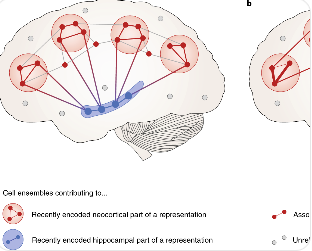 수면이 기억 형성에 영향을 주는 작동 원리 일러스트
