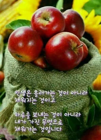 장마철 인사말 모음 예시 멘트_15