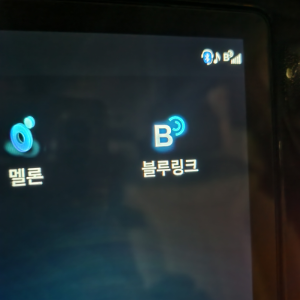 블루링크-지원-차량-확인-방법