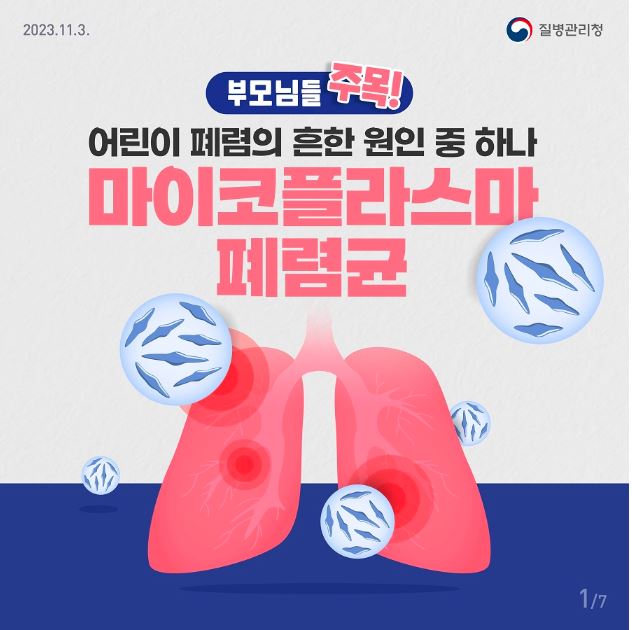 독감, 메타뉴모바이러스,마이코플라즈마,RSV ,열날때 증상, 독감예방접종