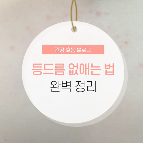 등드름 없애는 법 등드름 없애는 법 및 원인 소개 콘텐츠