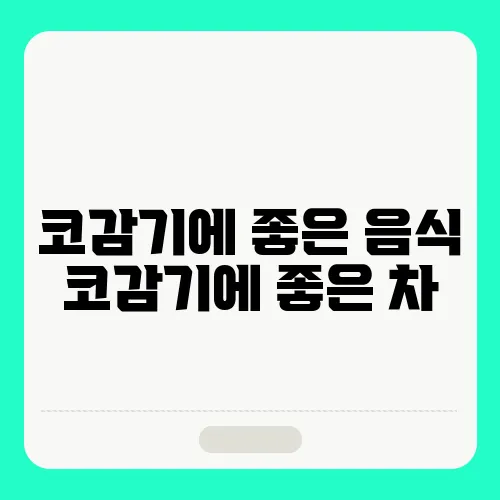 코감기에 좋은 음식 코감기에 좋은 차