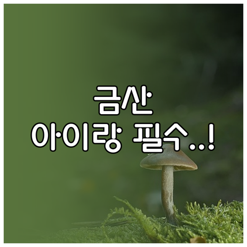 아이와 함께 가기 좋은 금산산림문화타..