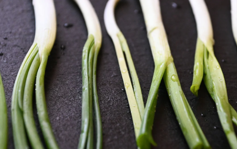 음식물처리기-지원사업