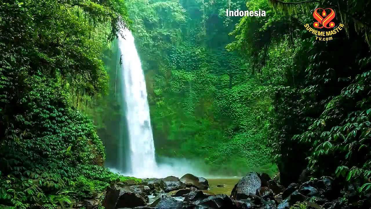 유네스코 세계유산 수마트라 열대우림 지역