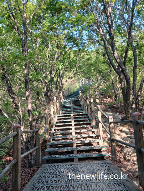 “Steel hiking stairs surrounded by green forest”-“숲속 철제 등산 계단 – 산속 계단 오르기 장면”
