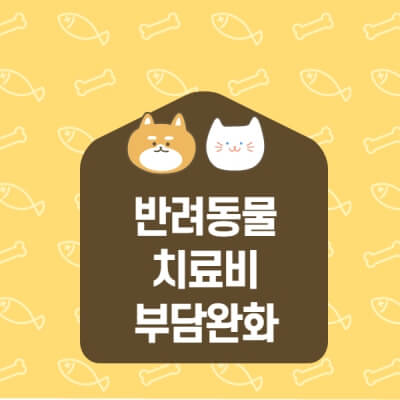 반려동물 진료비