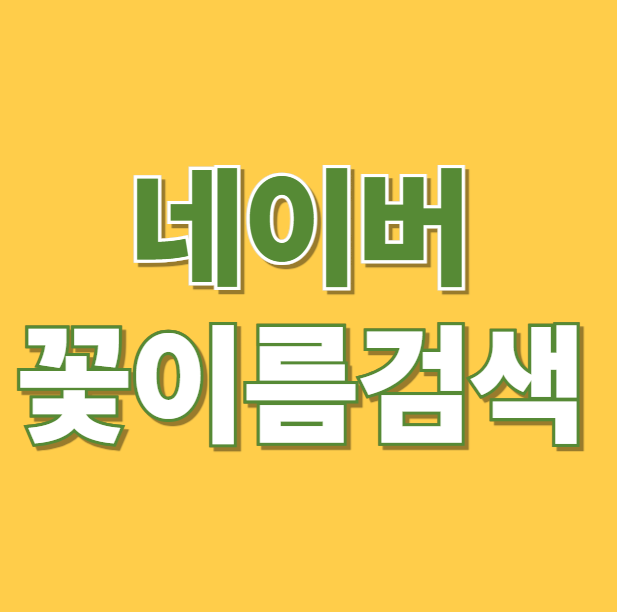 꽃이름 검색 네이버 꽃검색 사진으로 꽃이름 찾기 방법 스마트렌즈 촬영 팁