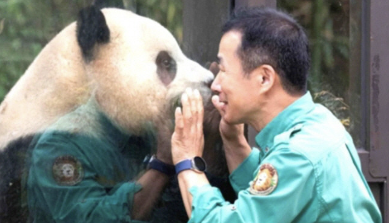 안녕, 할부지 푸바오